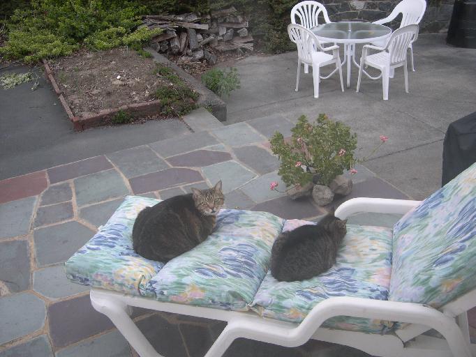 Simon and Chloe lounging on patio